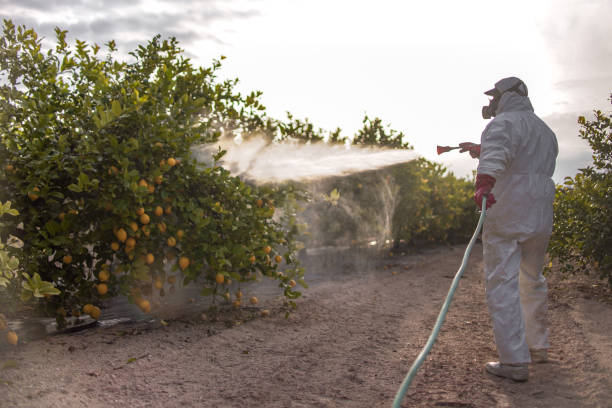 Best Pest Prevention Services  in Seneca, MO