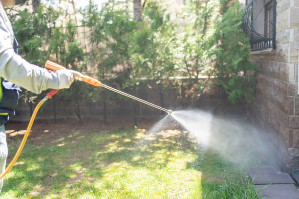 Best Affordable Pest Control Services  in Seneca, MO